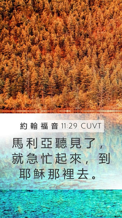 約 翰 福 音 11:29 CUVT Mobile Phone Wallpaper - 馬 利 亞 聽 見 了 ， 就 急 忙 起 來 - Mobile Bible Verse Wallpaper