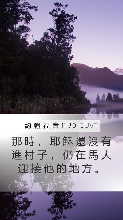 約 翰 福 音 11:30 CUVT Mobile Phone Wallpaper - 那 時 ， 耶 穌 還 沒 有 進 村 子 ， - Mobile Bible Verse Wallpaper