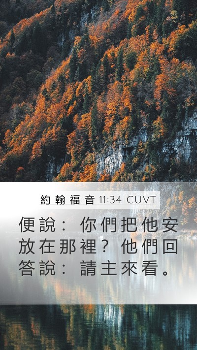 約 翰 福 音 11:34 CUVT Mobile Phone Wallpaper - 便 說 ： 你 們 把 他 安 放 在 那 裡 - Mobile Bible Verse Wallpaper