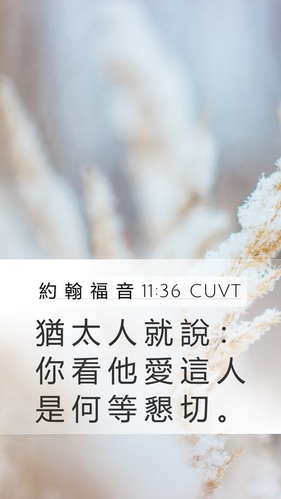 約 翰 福 音 11:36 CUVT Bible Verse Image