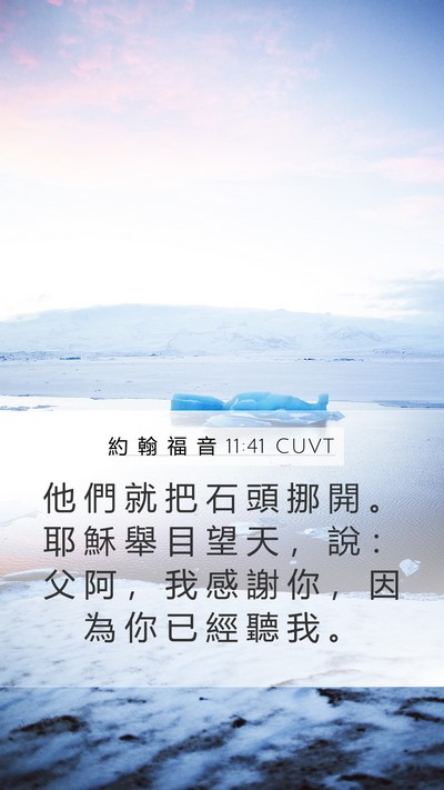 約 翰 福 音 11:41 CUVT Bible Verse Image