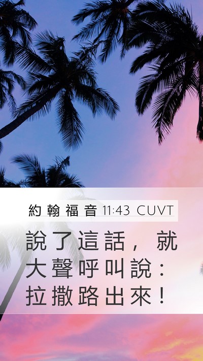 約 翰 福 音 11:43 CUVT Bible Verse Image