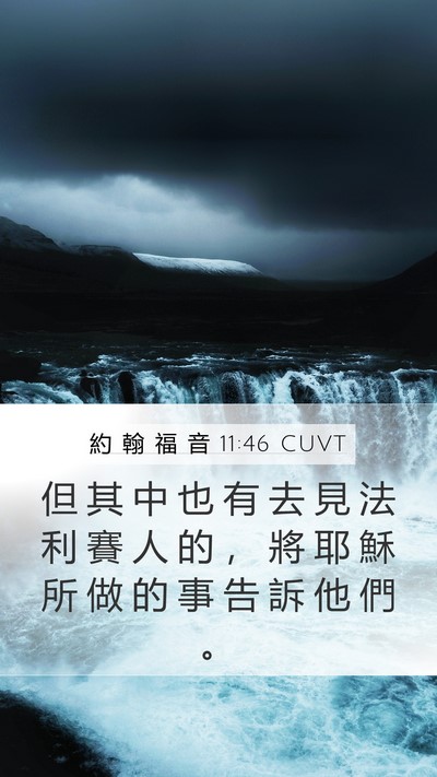 約 翰 福 音 11:46 CUVT Bible Verse Image