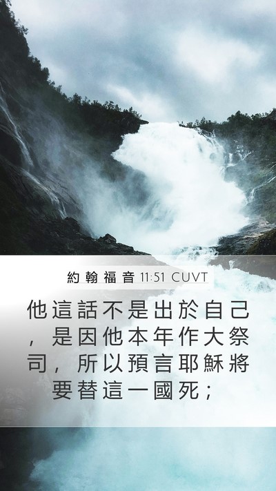 約 翰 福 音 11:51 CUVT Bible Verse Image