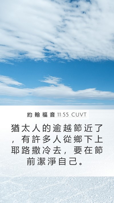 約 翰 福 音 11:55 CUVT Bible Verse Image