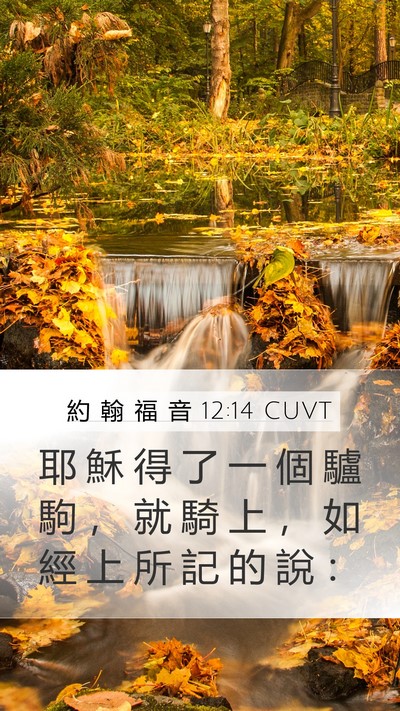 約 翰 福 音 12:14 CUVT Mobile Phone Wallpaper - 耶 穌 得 了 一 個 驢 駒 ， 就 騎 上 - Mobile Bible Verse Wallpaper