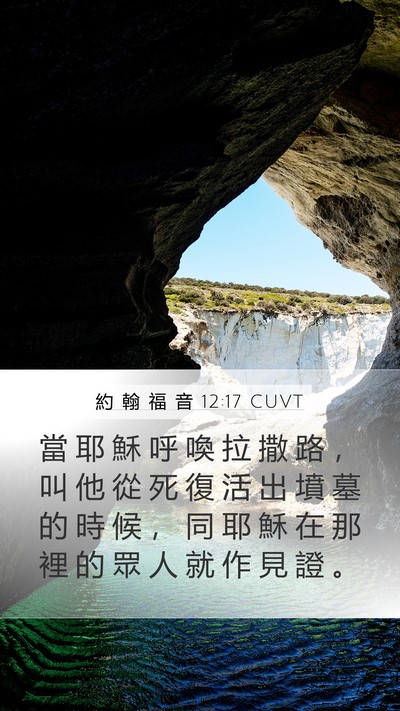 約 翰 福 音 12:17 CUVT Bible Verse Image