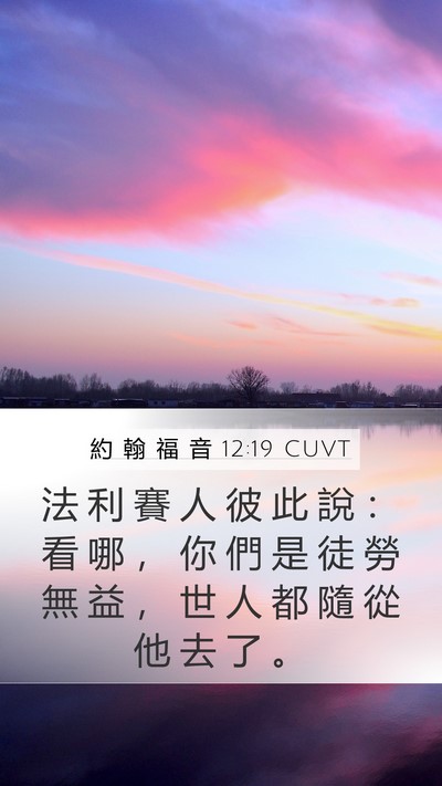約 翰 福 音 12:19 CUVT Bible Verse Image