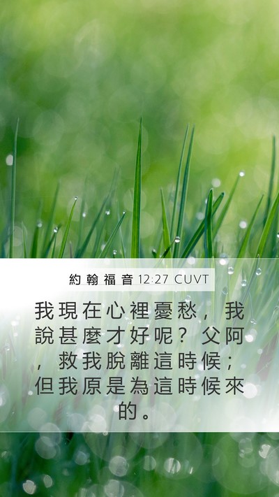 約 翰 福 音 12:27 CUVT Bible Verse Image