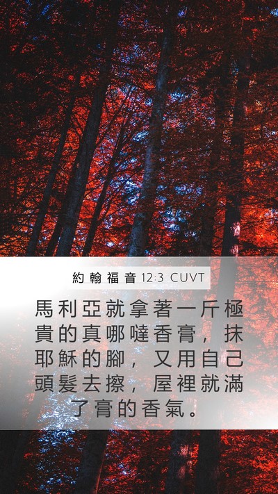 約 翰 福 音 12:3 CUVT Mobile Phone Wallpaper - 馬 利 亞 就 拿 著 一 斤 極 貴 的 真 - Mobile Bible Verse Wallpaper