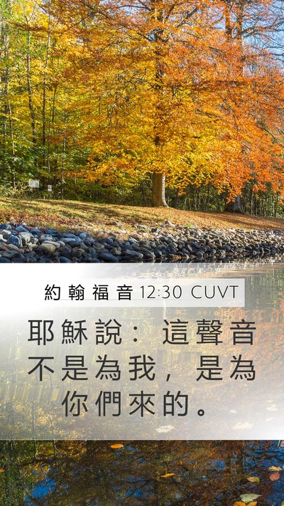 約 翰 福 音 12:30 CUVT Mobile Phone Wallpaper - 耶 穌 說 ： 這 聲 音 不 是 為 我 ， - Mobile Bible Verse Wallpaper