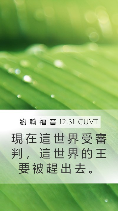約 翰 福 音 12:31 CUVT Bible Verse Image