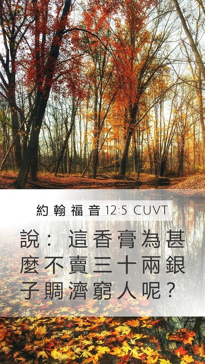 約 翰 福 音 12:5 CUVT Bible Verse Image