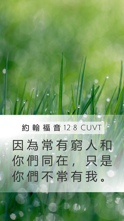 約 翰 福 音 12:8 CUVT Bible Verse Image