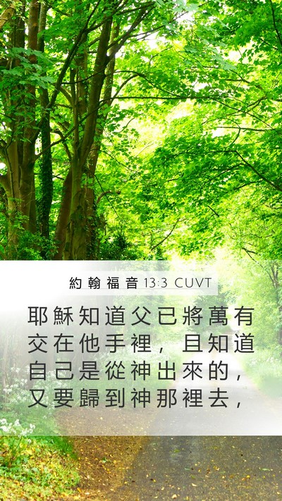 約 翰 福 音 13:3 CUVT Bible Verse Image