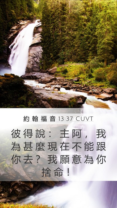 約 翰 福 音 13:37 CUVT Bible Verse Image