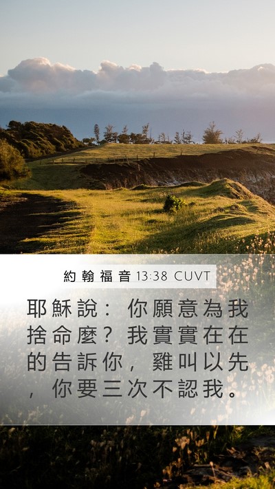 約 翰 福 音 13:38 CUVT Bible Verse Image