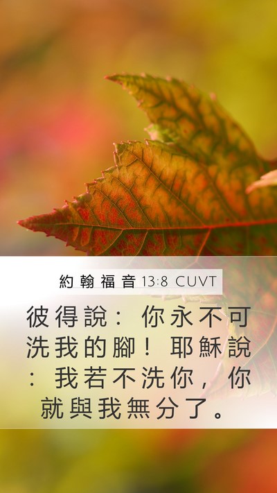 約 翰 福 音 13:8 CUVT Bible Verse Image