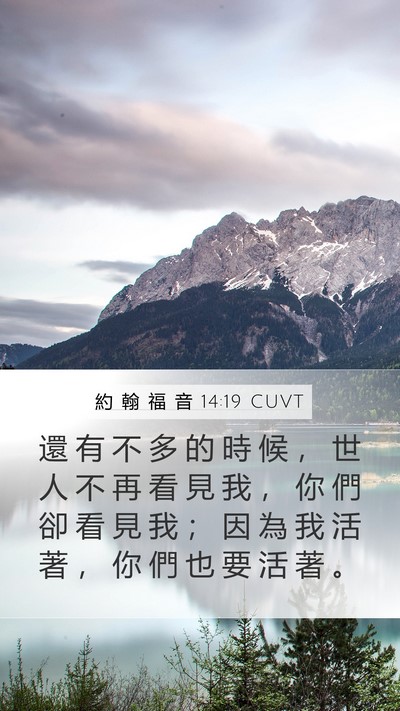 約 翰 福 音 14:19 CUVT Bible Verse Image