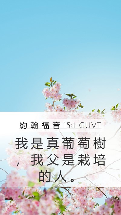 約 翰 福 音 15:1 CUVT Bible Verse Image