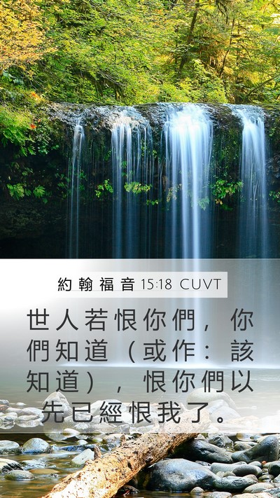 約 翰 福 音 15:18 CUVT Bible Verse Image