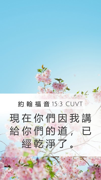 約 翰 福 音 15:3 CUVT Bible Verse Image