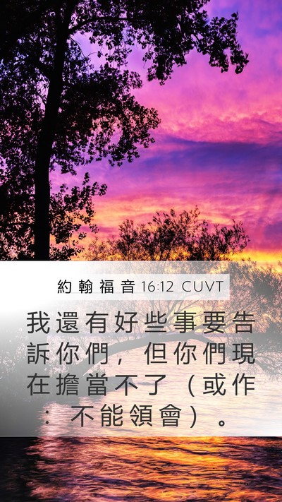 約 翰 福 音 16:12 CUVT Bible Verse Image