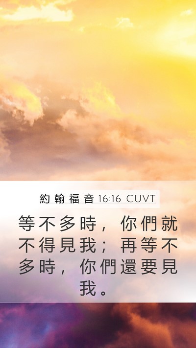 約 翰 福 音 16:16 CUVT Bible Verse Image