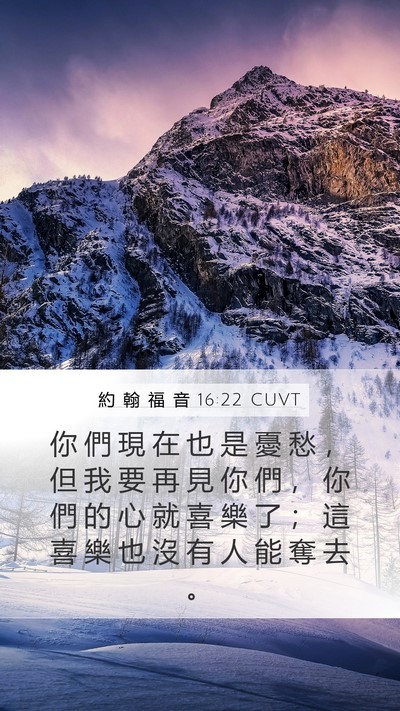 約 翰 福 音 16:22 CUVT Bible Verse Image