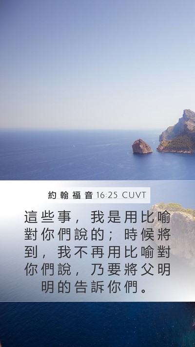 約 翰 福 音 16:25 CUVT Bible Verse Image