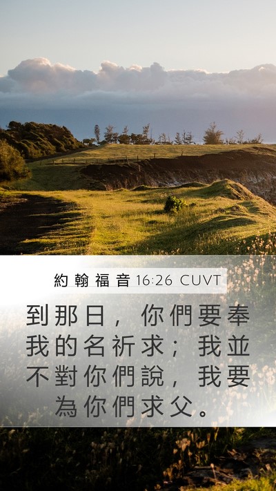 約 翰 福 音 16:26 CUVT Mobile Phone Wallpaper - 到 那 日 ， 你 們 要 奉 我 的 名 祈 - Mobile Bible Verse Wallpaper