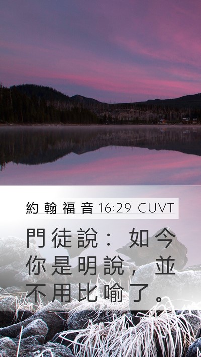 約 翰 福 音 16:29 CUVT Bible Verse Image