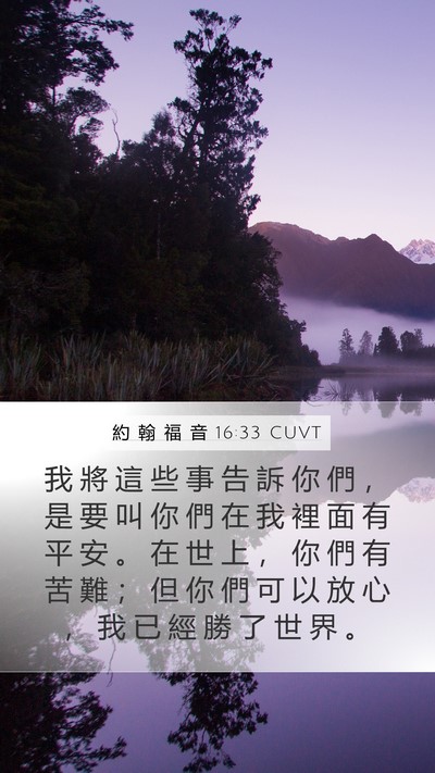 約 翰 福 音 16:33 CUVT Bible Verse Image