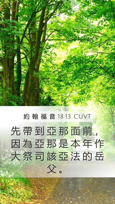 約 翰 福 音 18:13 CUVT Bible Verse Image