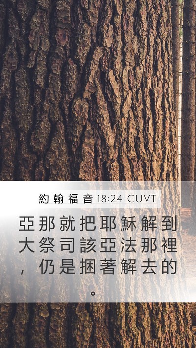 約 翰 福 音 18:24 CUVT Bible Verse Image