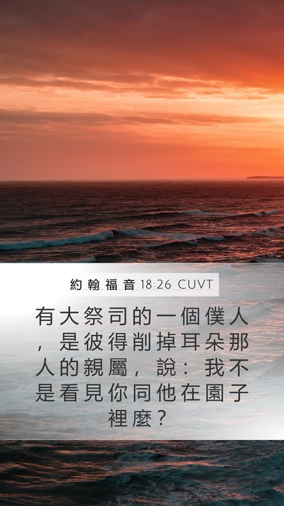 約 翰 福 音 18:26 CUVT Bible Verse Image