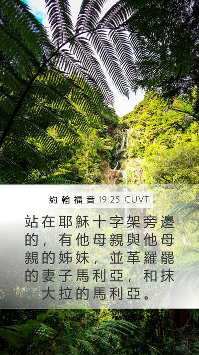 約 翰 福 音 19:25 CUVT Bible Verse Image