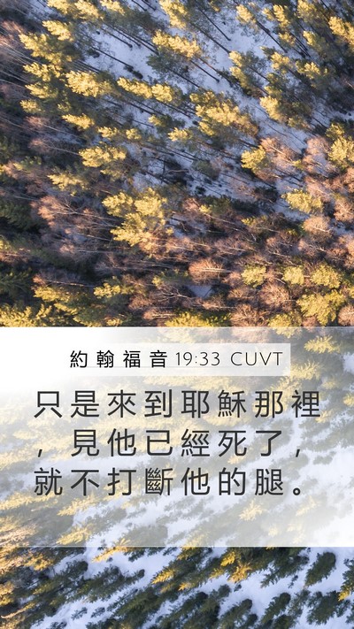 約 翰 福 音 19:33 CUVT Bible Verse Image