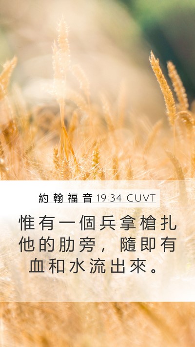 約 翰 福 音 19:34 CUVT Bible Verse Image