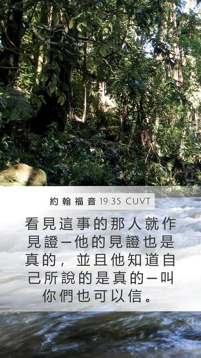 約 翰 福 音 19:35 CUVT Bible Verse Image