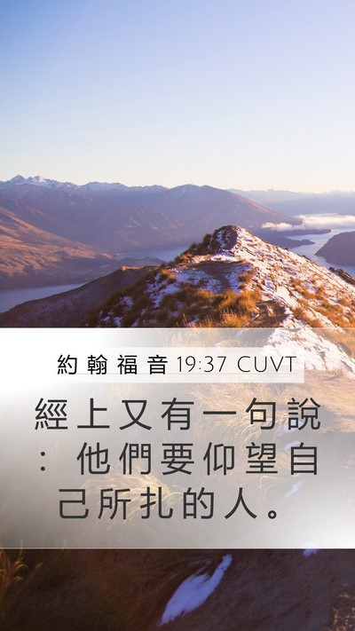 約 翰 福 音 19:37 CUVT Bible Verse Image