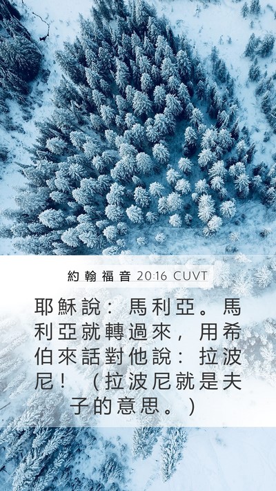 約 翰 福 音 20:16 CUVT Bible Verse Image