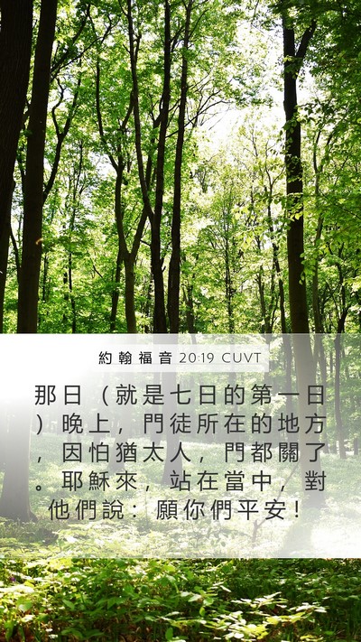 約 翰 福 音 20:19 CUVT Bible Verse Image