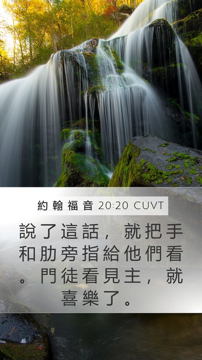 約 翰 福 音 20:20 CUVT Bible Verse Image