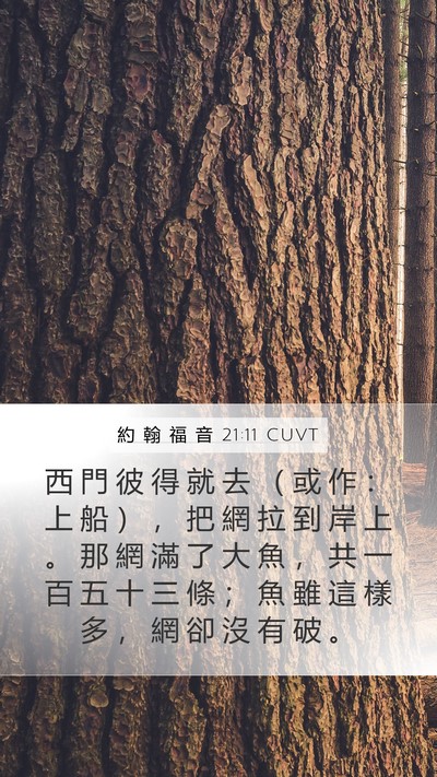 約 翰 福 音 21:11 CUVT Mobile Phone Wallpaper - 西 門 彼 得 就 去 （ 或 作 ： 上 船 - Mobile Bible Verse Wallpaper