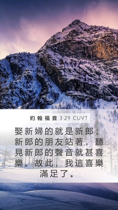 約 翰 福 音 3:29 CUVT Bible Verse Image