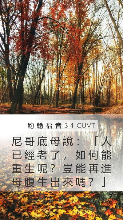 約 翰 福 音 3:4 CUVT Bible Verse Image