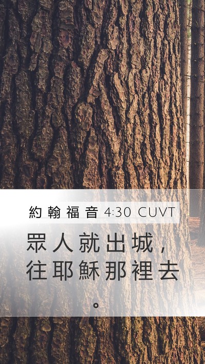 約 翰 福 音 4:30 CUVT Mobile Phone Wallpaper - 眾 人 就 出 城 ， 往 耶 穌 那 裡 去 - Mobile Bible Verse Wallpaper
