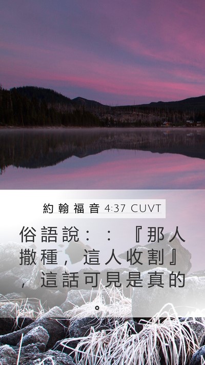 約 翰 福 音 4:37 CUVT Mobile Phone Wallpaper - 俗 語 說 ： ： 『 那 人 撒 種 ， 這 - Mobile Bible Verse Wallpaper