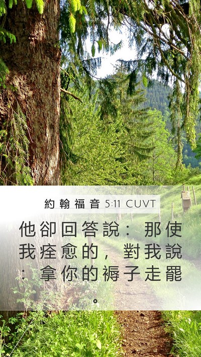 約 翰 福 音 5:11 CUVT Mobile Phone Wallpaper - 他 卻 回 答 說 ： 那 使 我 痊 愈 的 - Mobile Bible Verse Wallpaper